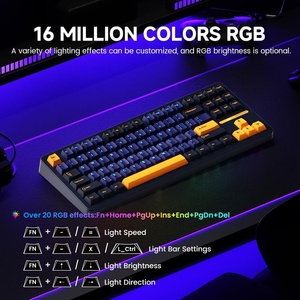 Clavier mécanique filaire Akko TAC87, 88 touches, disposition TKL 80 %, fixation Gasket, USB-<span class=keywords><strong>C</strong></span>, programmable, échangeable à chaud, clavier de jeu Cherry - Product Image 5