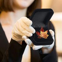 Estuche de almacenamiento de insignia de terciopelo negro, organizadores de medallas conmemorativas portátiles, broche cuadrado, caja de regalo con espaciadores ajustables