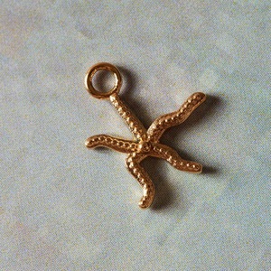 Colgante de Animales Marinos de Zirconia Chapado en Oro de Lujo, Bonito Colgante de Acero Inoxidable con Forma de Búho, Estrella de Mar, Gecko y Langosta para Mi Hijo - Product Image 6