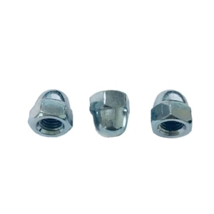 น๊อตเหล็กกล้าคาร์บอน<span class=keywords><strong>319</strong></span>ดิน1587ทรงโดมหกเหลี่ยม - Product Image 5
