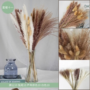 <span class=keywords><strong>Mini</strong></span> <span class=keywords><strong>bouquet</strong></span> de <span class=keywords><strong>fleurs</strong></span> <span class=keywords><strong>séchées</strong></span> gypsophile naturelles, vente en gros, bon marché - Product Image 3