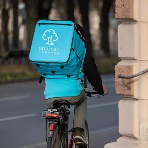 Motorcycle Food Delivery Bag Pizza Takeaway Thermal Food Delivery Bag