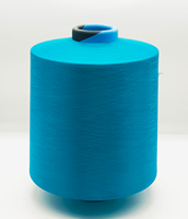 Fil de polyamide de haute qualité 100% Nylon 6 DTY pour le tricot et le tissage à la main