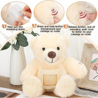 Ours en peluche beige avec enregistrement vocal, porte-photo, messages enregistrables, ours en peluche commémoratif, jouet en peluche personnalisé