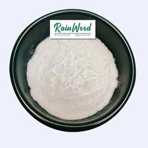 Polvere di Citicolina Pura (CDP Colina) 99% Purezza Certificata Biologica/HACCP Nutraceutico Sfuso Confezioni da 1kg/25kg 24 Mesi - Product Image 1