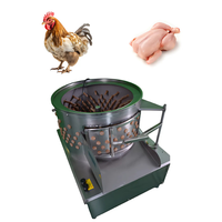 Máquina de matanza y desplumado de pollos de gran oferta con eliminación automática de plumas con bomba y cojinete de componentes centrales