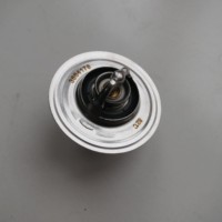 Pièces de système de refroidissement de moteur diesel fournies par l'usine, régulateur de température de l'eau, thermostat de liquide de refroidissement 3864178