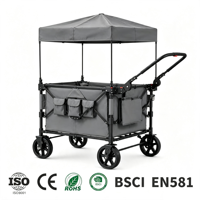 Poussette double de camping pour enfants de haute qualité, pliable, avec pare-soleil, grande capacité, chariot de pique-nique extérieur, roue simple en fer, OEM