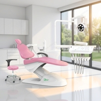 Fauteuils dentaires ergonomiques mobiles modernes de luxe, prix d'usine, équipement dentaire de luxe