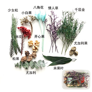 Dried Flower Craft Kit Mixed Preserved Flowers For Handmade Decor Yiwu Origin Ac0659 - Product Image 2