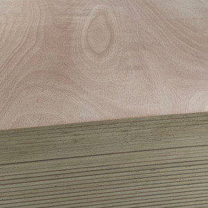 <span class=keywords><strong>Contreplaqué</strong></span> de qualité supérieure en bouleau/peuplier de 18 mm pour meubles - Product Image 5