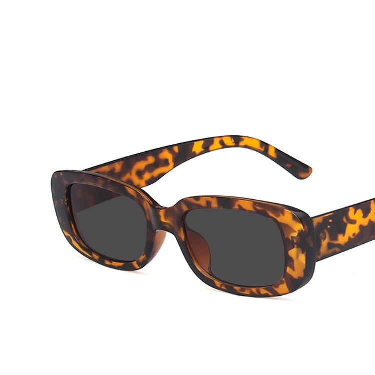9074-C2-Leopard/gray