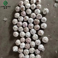 Ail frais nouvelle culture chinoise 2023 Ail approvisionnement comme ail Normal White Alho Ajo du fabricant d'ail frais en gros