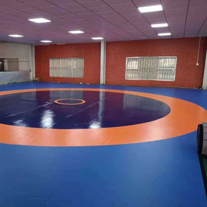 Tùy chỉnh Wushu Thảm ngoại quan bọt Đấu Vật CuộN ra mat Thể dục dụng cụ thảm sàn để bán - Product Image 1