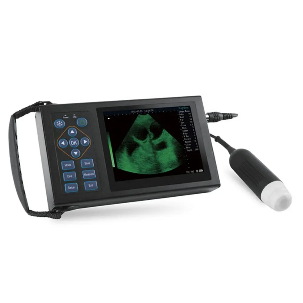 ICEN Vet Ultrasound Medical Ultrasound Instruments Ultrasound Scanner