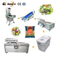 Industriële salade snijmachine van roestvrij staal SUS304, kleine salade wasmachine, kleine salade verwerkingslijn