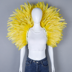 Cánh lông vũ nhiều màu sắc, cánh thiên thần dùng cho chụp ảnh, biểu diễn sân khấu, vũ công, cánh lông vũ burlesque - Product Image 3