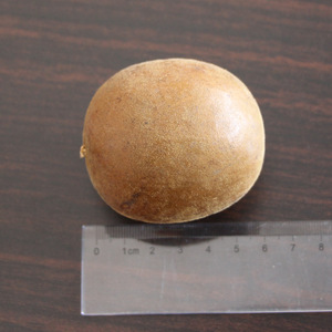 Premium Quality Organic Dried Monk Fruit (Luo Han Guo) Fresh Delicious Health Tea Specialty <strong>Momordica</strong> <strong>Grosvenori</strong> ZZH Brand 1kg - Product Image 6