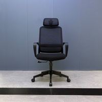 Chaise de bureau ergonomique en maille avec soutien lombaire réglable, chaise pivotante pour ordinateur pour un soutien optimal du bas du dos