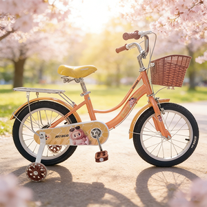 Vélo de montagne pour enfants MTBGO à bas prix, pour filles de 3 à 5 <span class=keywords><strong>ans</strong></span>, cadre en acier de 12 à 16 pouces, panier en plastique - Product Image 5