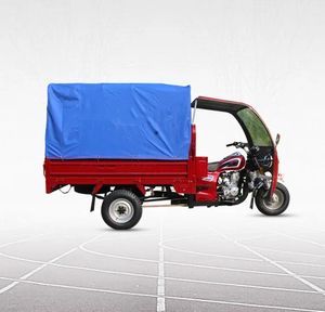 Tricycle à essence prêt à l'emploi avec moteur 250cc, tricycle de transport robuste à trois roues, personnalisable - Product Image 4