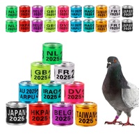 Anneau de pigeon en aluminium et plastique pour bricolage, accessoires d'identification pour animaux de compagnie, anneaux de jambe de perroquet, 8mm