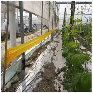 Hot Selling Double Sided Yellow Blue Sticky Glue Roll Agricultural Plant Protection Insect Trap Fruit <b>Fly</b> Catcher Glue Roll - Product Image 5