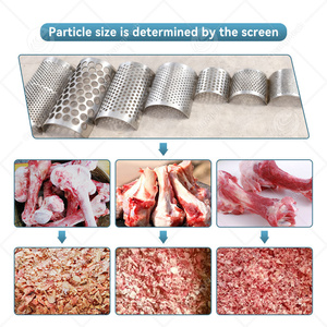 Промышленный измельчитель/дробилка для мяса и костей ORME (для крупного рогатого скота, говядины, рыбы) - Product Image 5