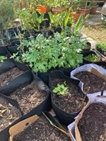 Sacs de culture pliables en feutre durable (5/10/20 gallons) personnalisables pour jardinières surélevées, jardinage, ferme/jardin