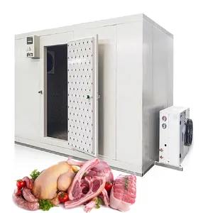 Hemat energi komersial Walk-In Freezer untuk ayam Supermarket dan toko makanan di pertanian studi penyimpanan ruang dingin