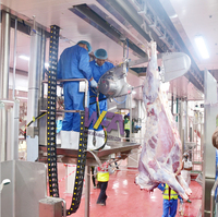 Abattoir halal clé en main pour bovins, équipement d'abattoir de grande capacité, abattoir de bovins, machines de transformation de la viande de taureau