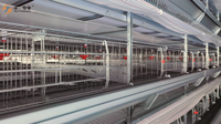 Vente directe usine : Système d'élevage automatique en batterie de type H en tôle galvanisée pour poules pondeuses à haute productivité