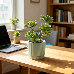 Pianta Succulenta Artificiale a 6 Teste di Loto con Vaso in Ceramica Verde Chiaro, 25cm di Altezza, Pianta <span class=keywords><strong>da</strong></span> Interno per Arredamento Soggiorno - Product Image 1