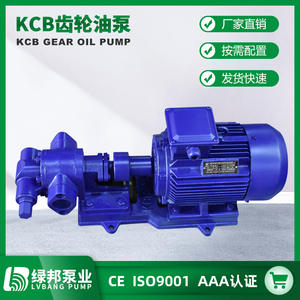 Bomba de Aceite para Engranajes Autocebante de Alta Viscosidad, Tipo Horizontal 2CY/KCB con Impulsor de Cobre a Prueba de Explosiones y Acero Inoxidable - Product Image 4