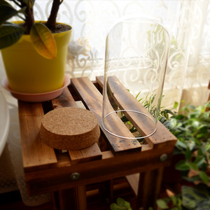 Caja de acrílico elegante hecha a mano/cúpula de cristal Real <span class=keywords><strong>Fresh</strong></span> <span class=keywords><strong>Eternity</strong></span> Immortal Rose flor preservada para la graduación de Navidad de San Valentín - Product Image 2