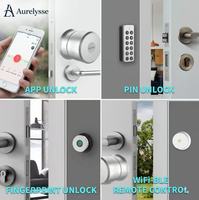 Cerradura Inteligente sin Llave Aurelysse, Cilindro Europeo, Control por Aplicación Tuya, Alta Seguridad, Precio de Fábrica OEM ODM para Hogar y Oficina