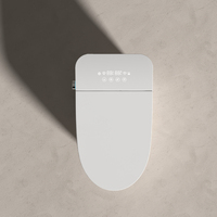 Toilette intelligente avec économie d'eau, design à fermeture douce, céramique sanitaire, matériau écologique, fournisseur en gros, eau chaude, nettoyage