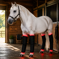 SUNGLOR SGHSBB Soins équin avec 236 LED infrarouges pour la thérapie par la lumière rouge, bandages pour l'équitation, pour l'approvisionnement des marques équestres mondiales