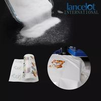 Poudre DTF à particules fines pour une impression haute résolution et de motifs complexes, détails d'image nets, faible poussière, approvisionnement en usine