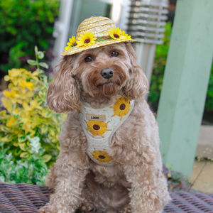 Conjunto de Arnés de Crochet para Perro con Correa Accesorios Personalizados para <span class=keywords><strong>Galgo</strong></span> de Marca de Lujo a la Moda para Bulldog Francés - Product Image 4