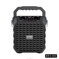 Altavoz De Karaoke E4030, altavoces grandes para fiesta de Dj al aire libre, altavoz De Karaoke portátil de 6,5 pulgadas con 2 micrófonos inalámbricos para Ktv familiar