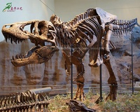 Répliques de squelettes de dinosaures en fibre de verre grandeur nature, fabriquées à la main, pour musée