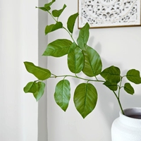 Feuillage Artificiel Effet Naturel en Latex : Feuilles de Salal et Ruscus Italien pour Décoration Mariage et Maison