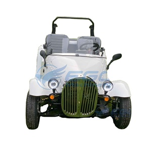 Auto Eléctrico EGO Mini Clásico de 1800W, Batería de 72V, 2 Personas, Estilo Vintage Antiguo para Parque de Atracciones, Uso Retro, en Venta - Product Image 1