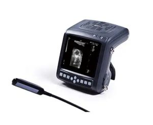Vétérinaire Kaixin 5200 KX5200 Machine USG portable portable pour le diagnostic des animaux vache <span class=keywords><strong>cheval</strong></span> - Product Image 5