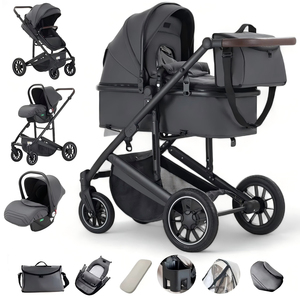 Poussette bébé 3-<span class=keywords><strong>en</strong></span>-<span class=keywords><strong>1</strong></span> avec modes de glissement réversibles, cadre <span class=keywords><strong>en</strong></span> alliage d'aluminium, pliage <span class=keywords><strong>en</strong></span> un clic, ensemble poussette bébé 3-<span class=keywords><strong>en</strong></span>-<span class=keywords><strong>1</strong></span> - Product Image 1