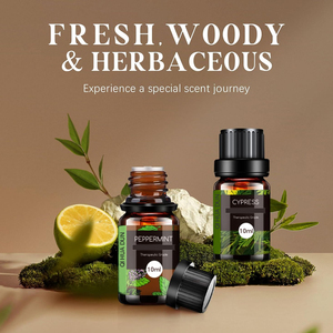 Ensemble de parfums à prix abordable : senteurs boisées et herbacées pour bougies, savons, huiles parfumées pour diffuseurs, huiles corporelles et eaux de <span class=keywords><strong>Cologne</strong></span> pour homme - Product Image 2