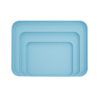 Assiette rectangulaire jetable en plastique PP de qualité alimentaire, portable, pour restaurant, hôtel, dîner, camping, cuisine