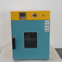 Oven Pengering Udara Panas Vertikal Seri LGG untuk Laboratorium dan Industri dengan Sirkulasi Udara Panas