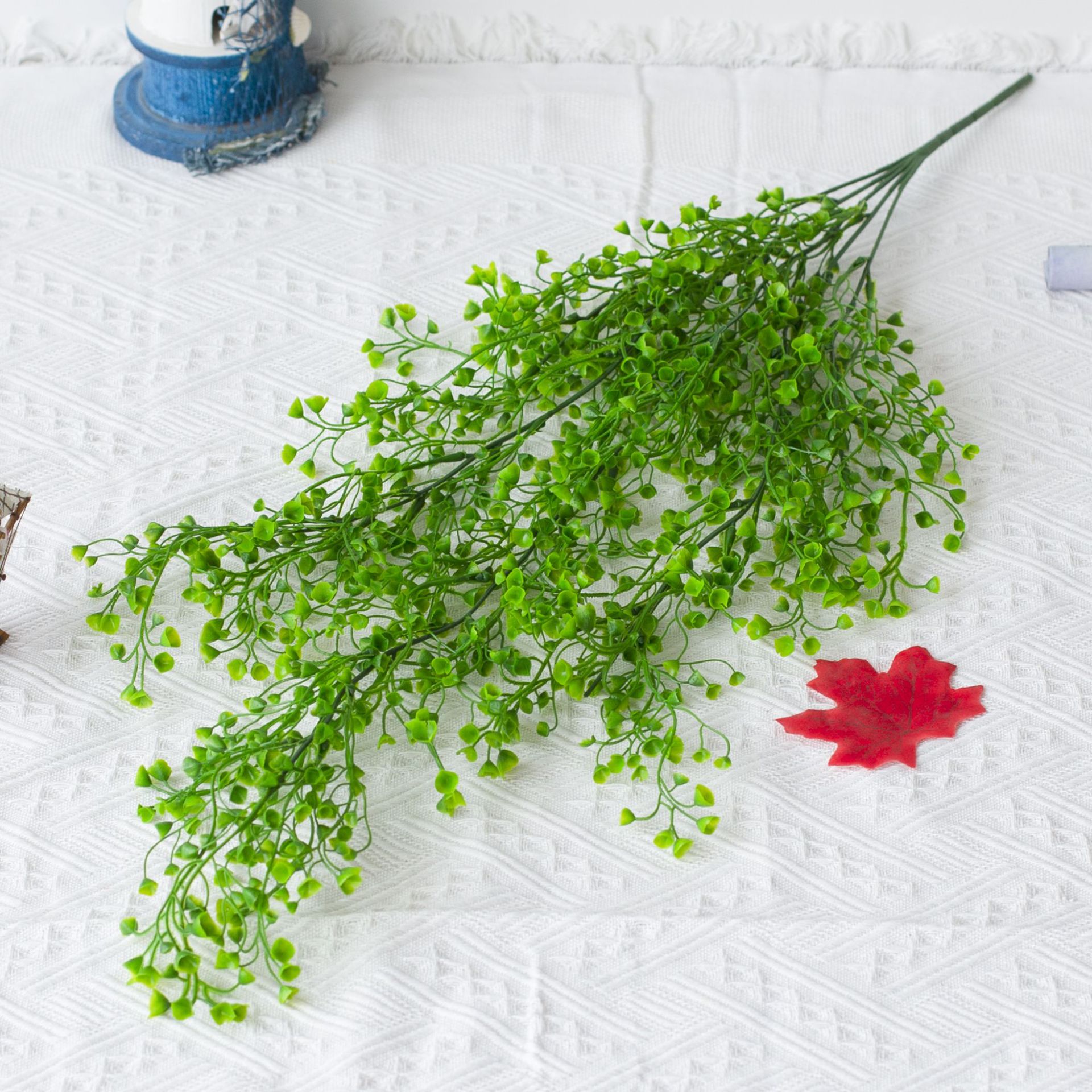 Small green bellflower